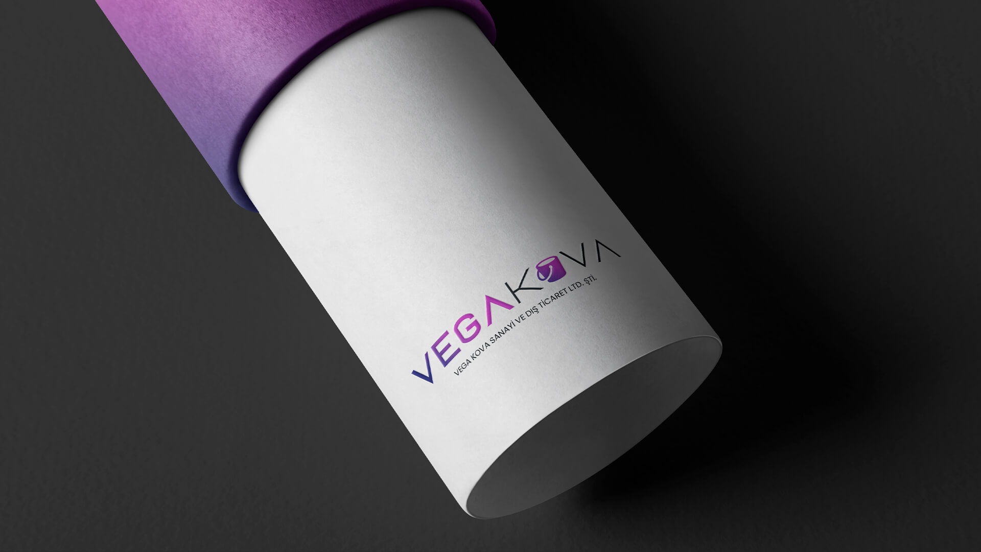Vega Kova Logo Tasarımı